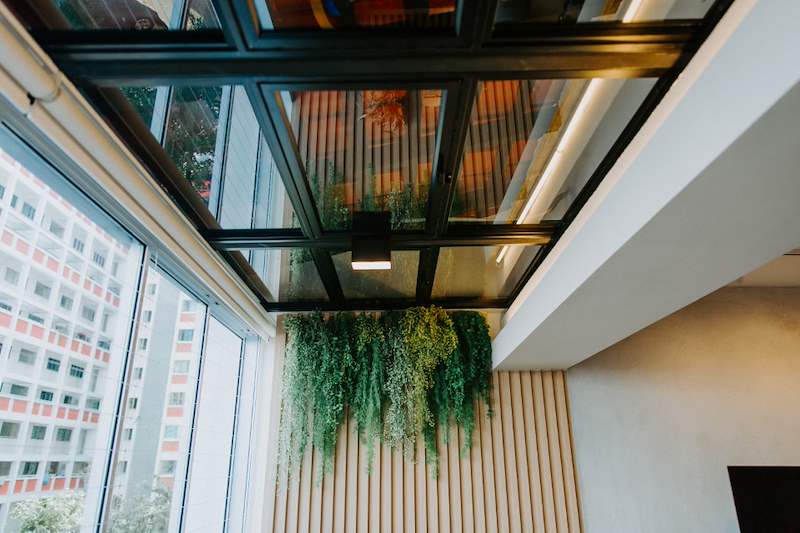 Black-framed glass roof panel above the window with plants hanging from a timber-slat wall - Full HDB maisonette renovation with a curved timber-slat island and lit staircase (140BB) | Larry Contractors, HDB Licensed Renovation Contractor, Singapore